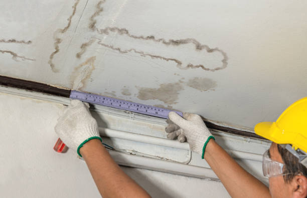 Reliable Water Damage contractor in Memphis, MO by Water Damage Irwin